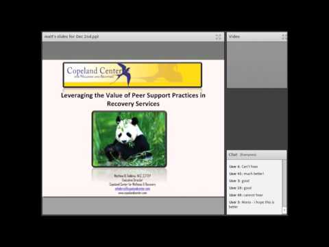 Webinar 35: Leveraging The Value Of Peer Support In Recovery Services